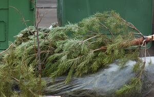 Вам не придется подметать с пола осыпавшиеся иголки после праздников, если предварительно завернете дерево в простыню