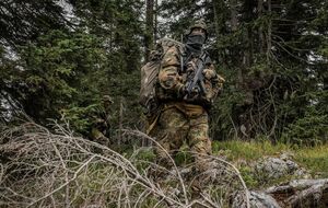 В мае 2025 года согласно сценарию бундесвера НАТО перебросит на восточный фланг 300 тыс. военных