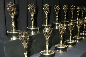 Премію "Еммі" за досягнення в галузі новинних і документальних програм у США вручають із 1980 року