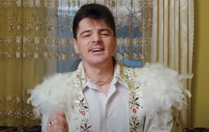 Мацевко стал известен после участия в первом сезоне шоу "Х-Фактор" в 2010 году