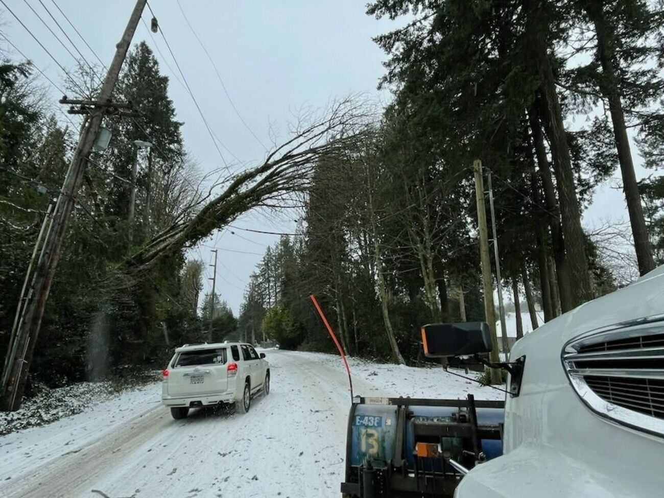 В штате Орегон от непогоды погибли по меньшей мере 12 человек