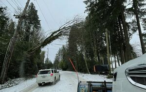 В штате Орегон от непогоды погибли по меньшей мере 12 человек