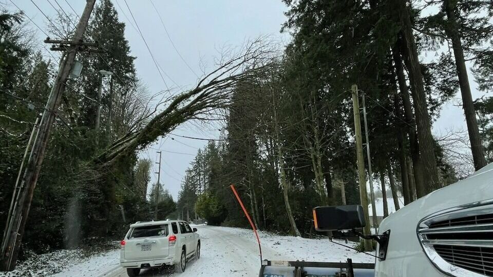 В штате Орегон от непогоды погибли по меньшей мере 12 человек