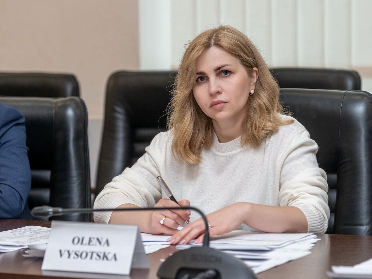 Зміни можуть ухвалити у січні – лютому поточного року – Висоцька