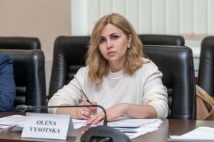 Изменения могут быть приняты в январе-феврале текущего года – Высоцкая