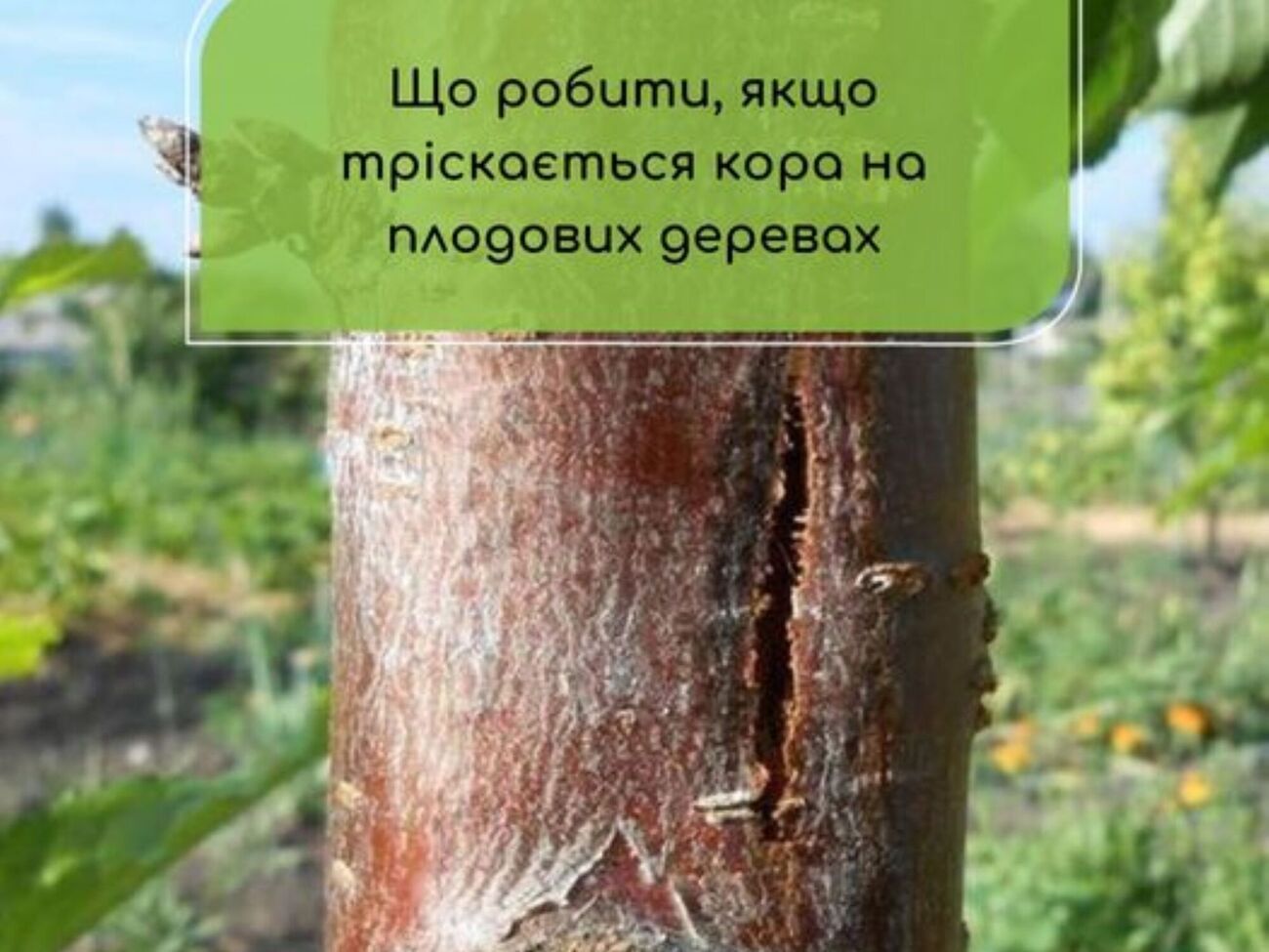 Павелецька повідомила, що перебуває у стосунках із Кулебою, навесні 2023 року