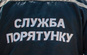 В ГСЧС заявили, что не рассылали украинцам сообщений об эвакуации, они фейковые