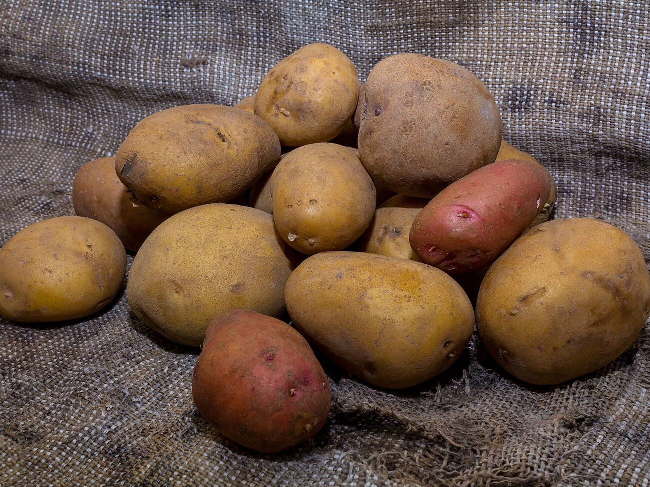 Протравливание – это предпосадочная обработка картофеля