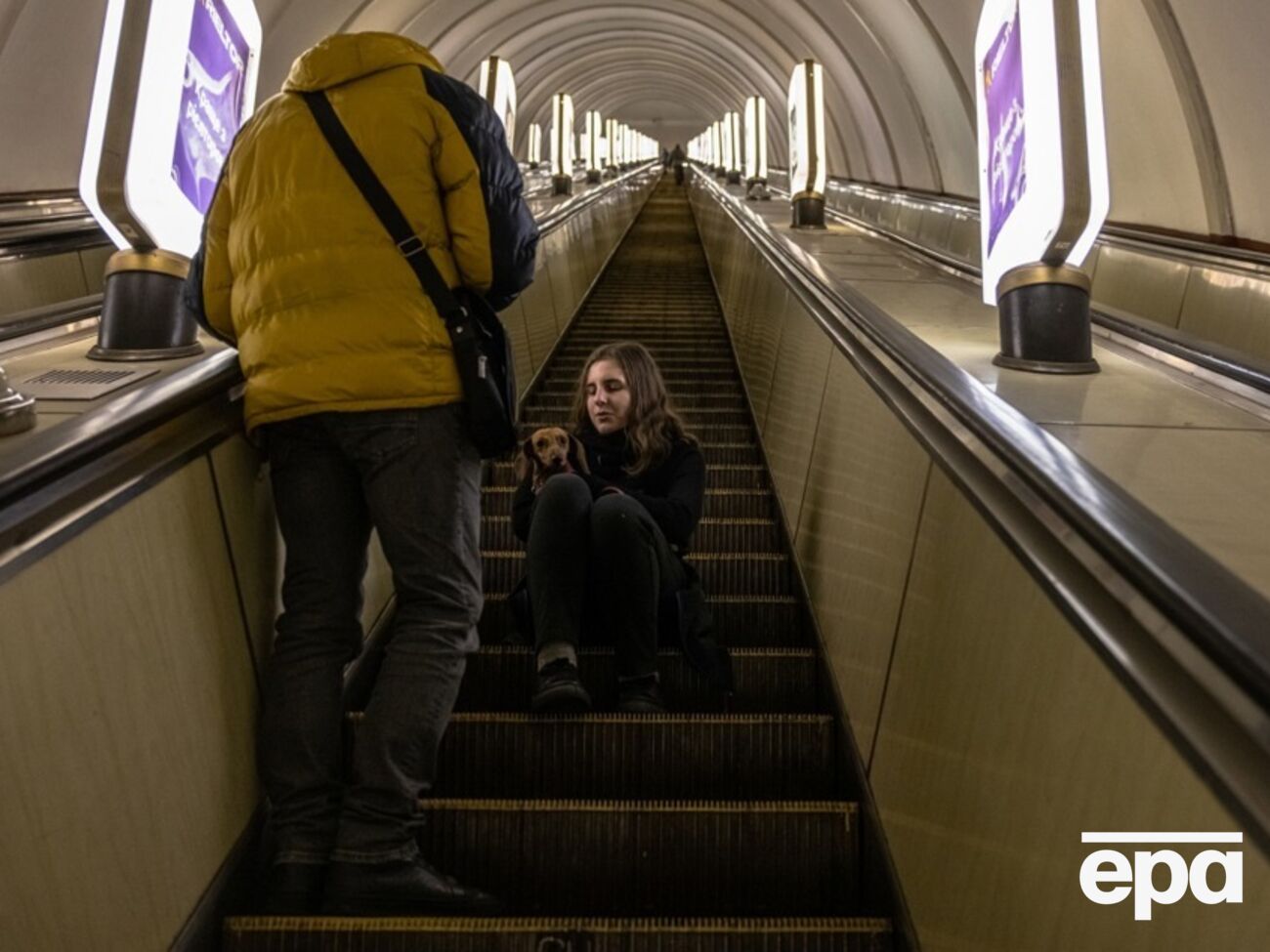 МВД отменил запрет на животных в бомбоубежищах