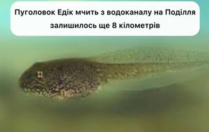 Шуточные поиски Эдика завирусились 25 января с поста Винницкого водоканала