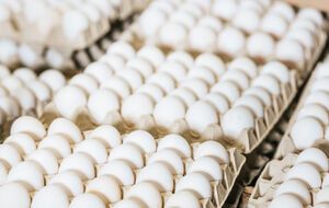 В новом варианте соглашения есть количественные ограничения на три продукта