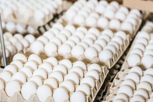 У новому варіанті угоди є кількісні обмеження на три продукти