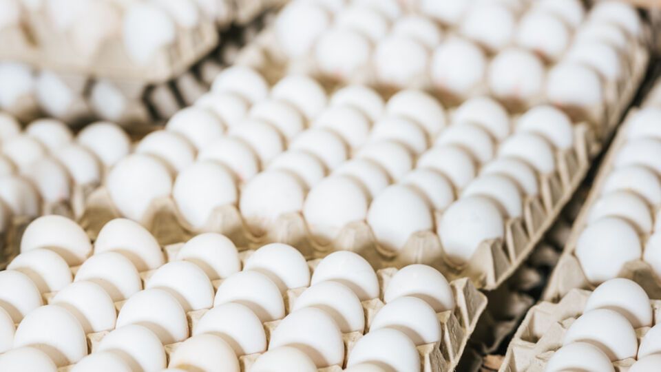 У новому варіанті угоди є кількісні обмеження на три продукти