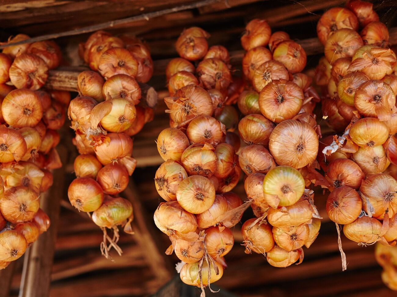 Одним из методов хранения лука является подвешивание