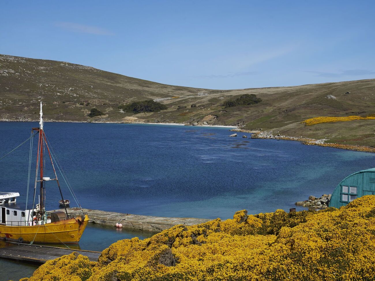 Фолклендські острови належать Великобританії із січня 1833 року