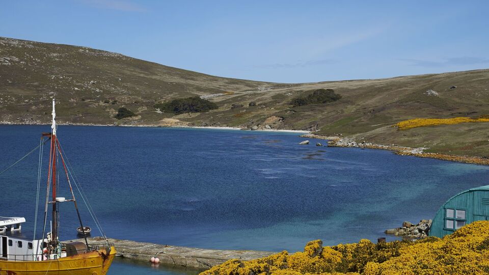 Фолклендські острови належать Великобританії із січня 1833 року