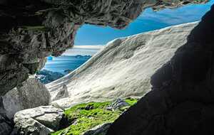 В Антрактиде разрастаются растения