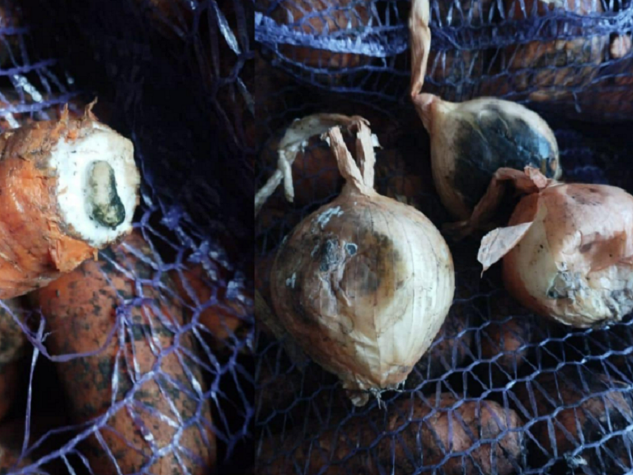 У Міноборони підкреслили, що будуть вимагати заміни зіпсованих продуктів або відшкодування за них