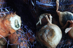 У Міноборони підкреслили, що будуть вимагати заміни зіпсованих продуктів або відшкодування за них