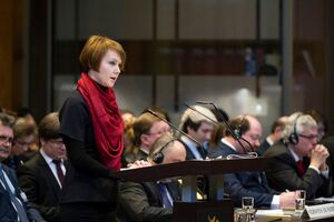 Решение суда ООН не стало прорывом. Любая страна может отправить "Бук" и грузовик с кешем, и это нельзя квалифицировать как финансирование терроризма? Так как нет квитанции?