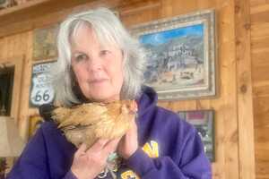 Пинат проживала в клетке в доме своей хозяйки