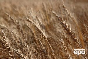 В Польше не хотят отменять запрет на ввоз украинской агропродукции