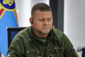Залужный против части предложений правительства