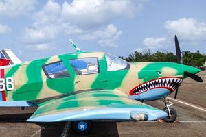 Літак упав одразу після злету, зазначили в поліції