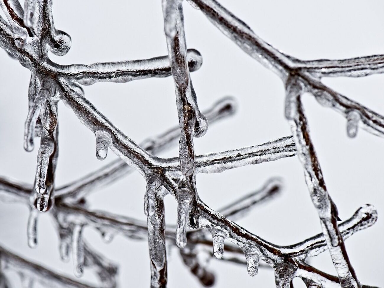 На початок наступого тижня Діденко прогнозує складну погода з опадами та небезпечними метеоявищами