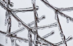 На початок наступого тижня Діденко прогнозує складну погода з опадами та небезпечними метеоявищами