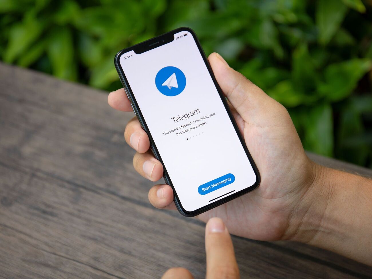 В Telegram-боте можно оставить жалобу из-за неработающего укрытия