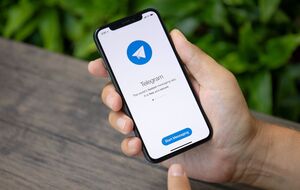 В Telegram-боте можно оставить жалобу из-за неработающего укрытия