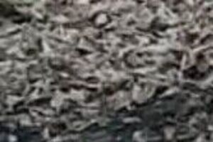 7 января 2023 года писатель Любко Дереш сообщил о гибели Кривцова