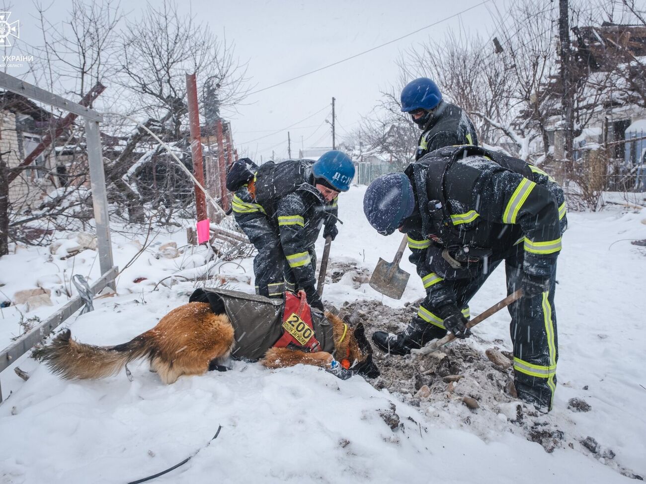 Из-за мороза и отвердения почвы дальнейшие поиски с собаками невозможны, говорят спасатели