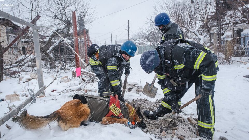 Через мороз і затвердіння ґрунту подальші пошуки із собаками неможливі, кажуть рятувальники