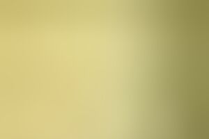 За 20 с лишним лет новогодняя акция "Ринат Ахметов – Детям" охватила более 1,2 млн детей со всей Украины