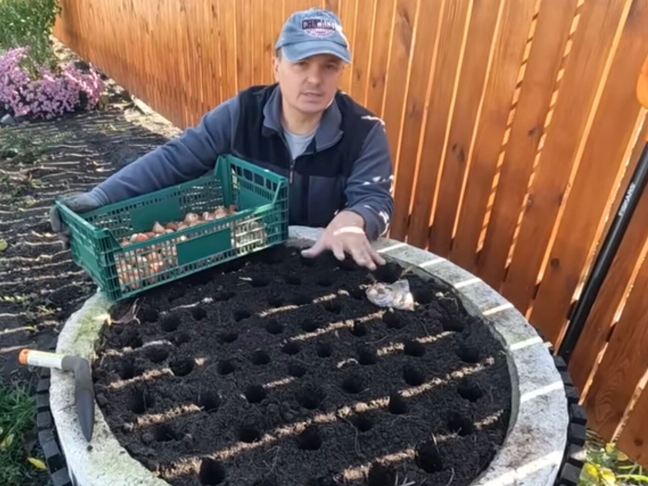 Садовник показал необычный вариант клумбы из бетонного кольца