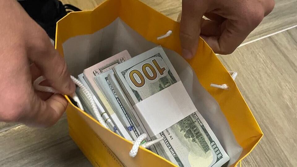 Депутатка Хмельницької міськради у своїй декларації взагалі не вказала наявності в неї готівки, зазначили в ДБР
