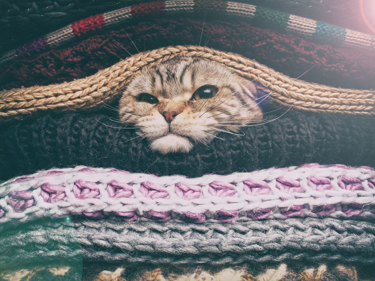 В Укргидрометцентре предупредили о стихийных метеорологических явлениях в западной части Украины