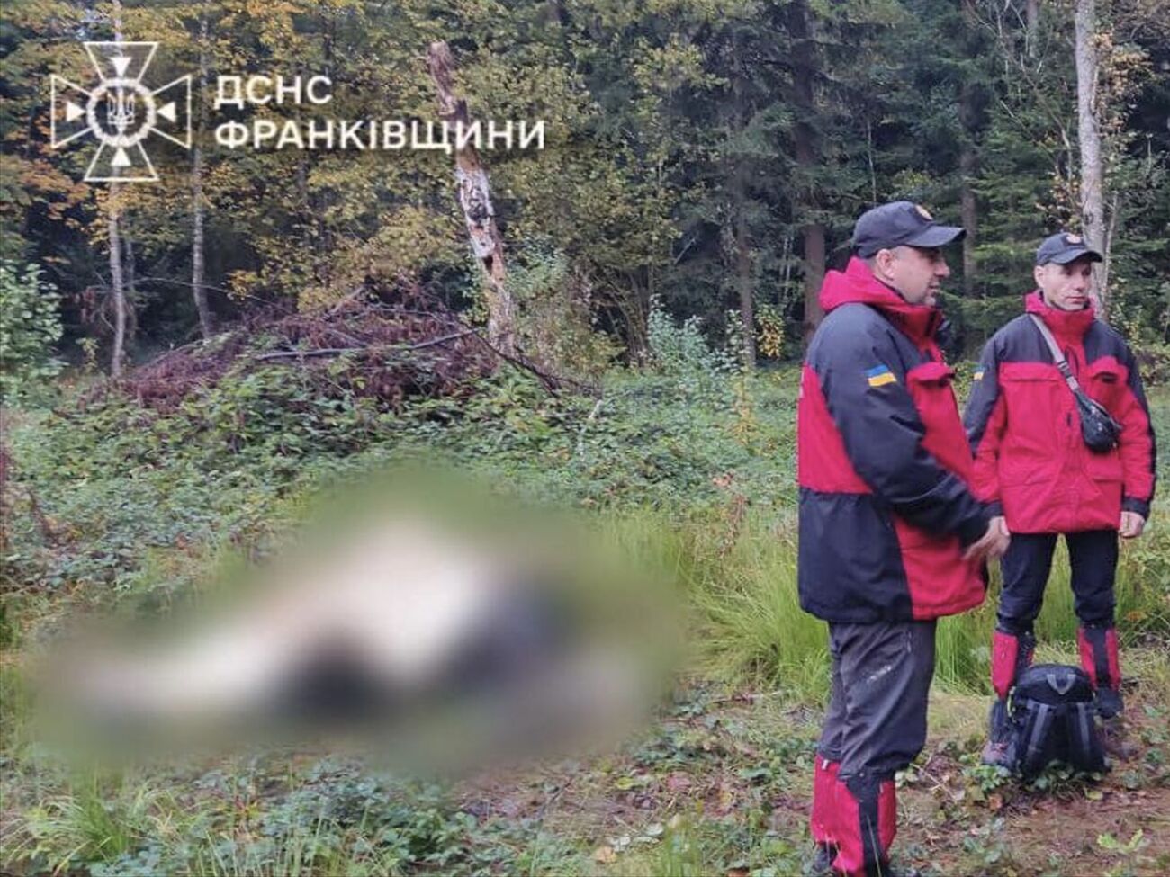 Спасатели призвали грибников не идти в лес при плохом самочувствии, а также при незнании местности и при ухудшении погоды