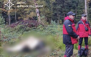 Спасатели призвали грибников не идти в лес при плохом самочувствии, а также при незнании местности и при ухудшении погоды