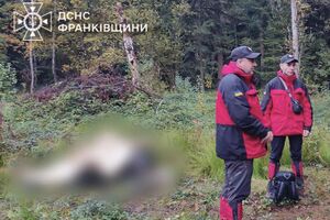 Спасатели призвали грибников не идти в лес при плохом самочувствии, а также при незнании местности и при ухудшении погоды