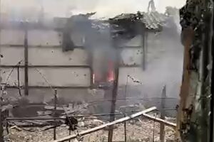 У 95-й ОДШБр повідомили про знищення штурмової групи росіян зі 155-ї бригади морської піхоти в Курській області