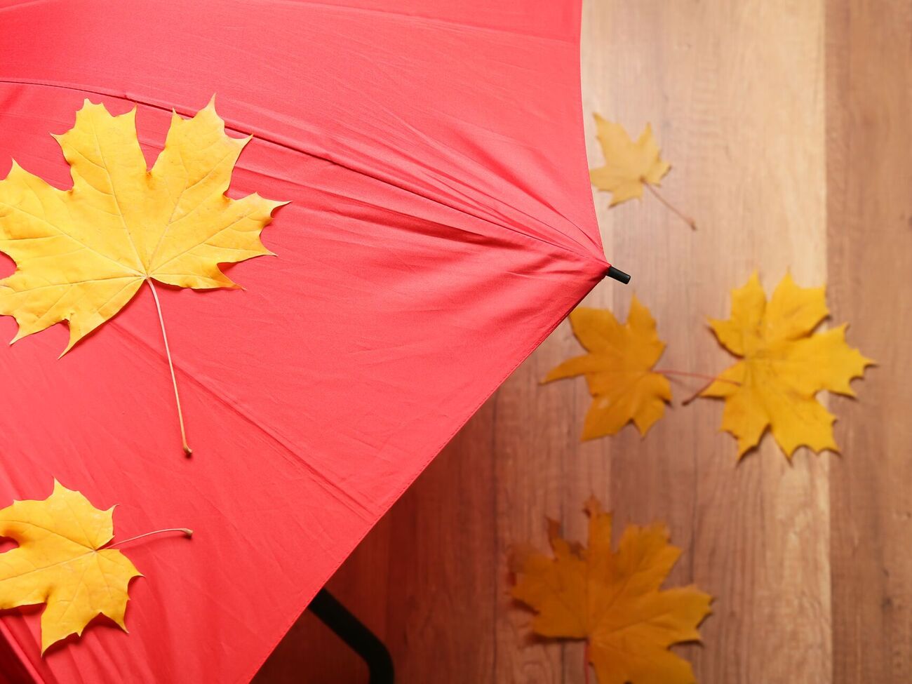 Осадки прогнозируют на правобережье страны