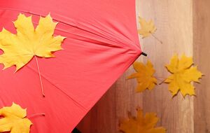 Осадки прогнозируют на правобережье страны