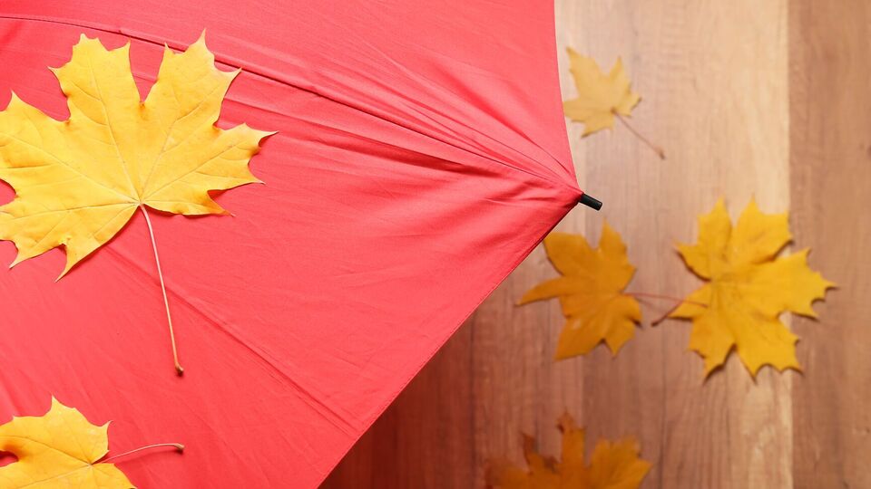 Осадки прогнозируют на правобережье страны