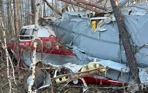 Самолет упал, как утверждают в РФ, из-за отказа двигателя