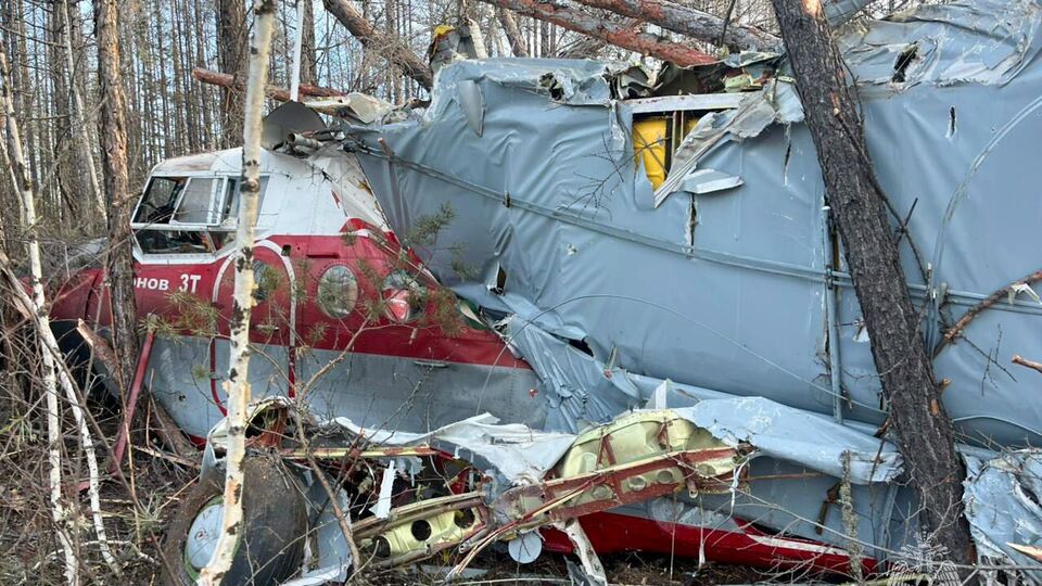 Самолет упал, как утверждают в РФ, из-за отказа двигателя