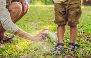 Лихорадка передается к человеку через укусы комаров, чтобы уберечься от нее, в Минздраве советуют использовать репелленты во время прогулок