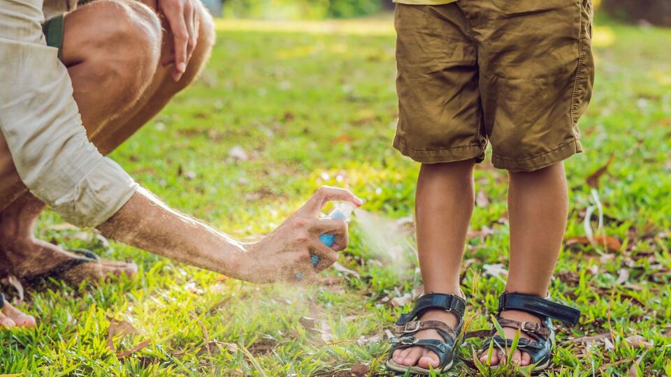 Лихорадка передается к человеку через укусы комаров, чтобы уберечься от нее, в Минздраве советуют использовать репелленты во время прогулок